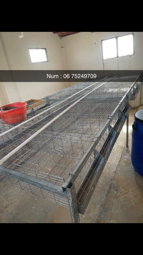 Cage pour lapin 