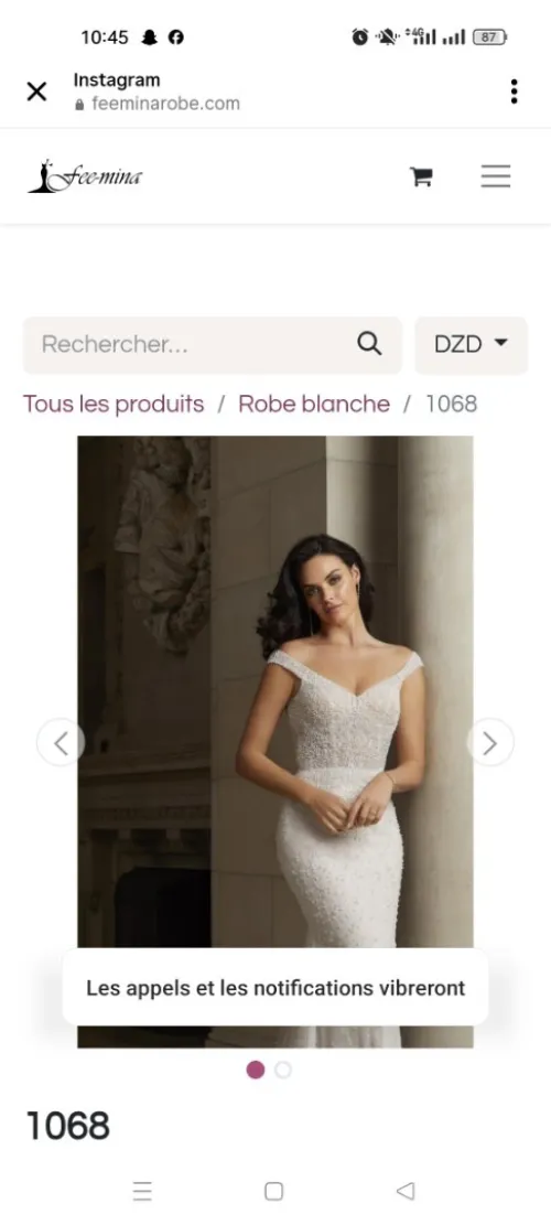 Robes blanches