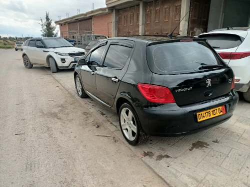 Peugeot 307 2007 Oxygo