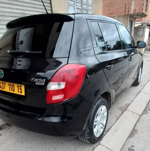 Skoda Fabia 2010 