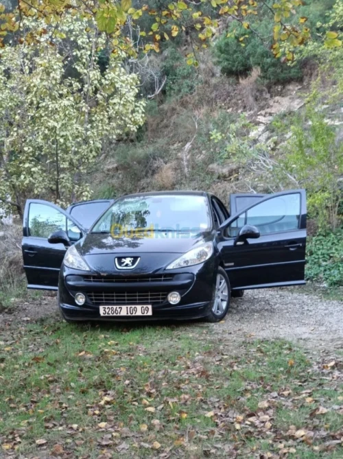 Peugeot 207 2009 Platinum