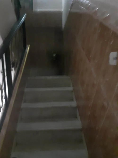 Vente Villa Blida Mouzaia