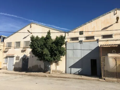 Vente Hangar - Usine Mascara Mohammadia