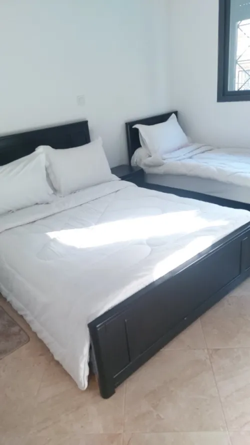 Location Appartement F2 Alger Zeralda