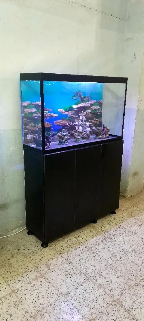 Aquarium avec Meuble أكواريوم بالموبل