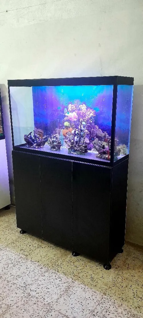 Aquarium avec Meuble أكواريوم بالموبل