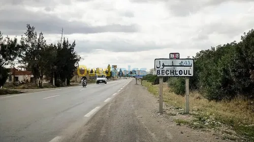 Vente Terrain Bouira Bechloul