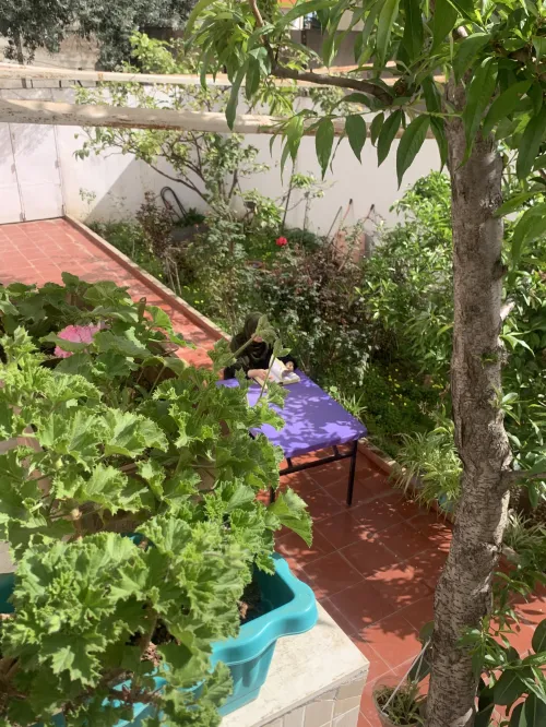 Location vacances Appartement Niveau de villa F2 Annaba El bouni