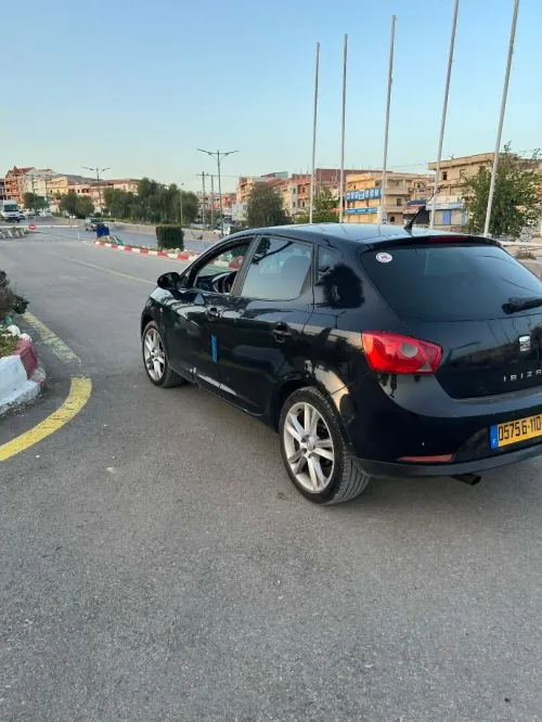 Seat Ibiza 2010 