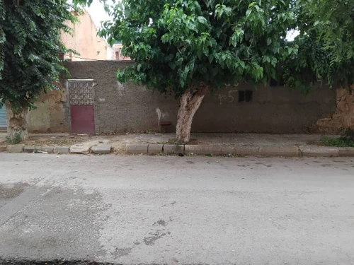 Vente Terrain Tiaret Sougueur