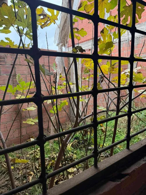 Vente Villa Alger Ouled chebel