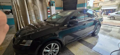 Skoda Octavia 2019 Clever