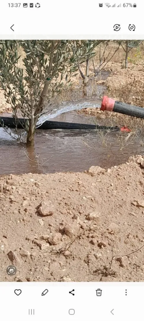 Vente Terrain Agricole Saïda Youb