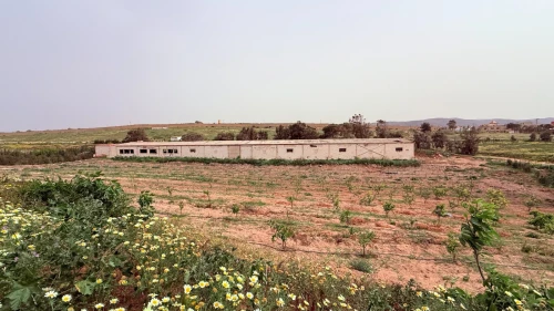 Vente Terrain Agricole Oran Bousfer