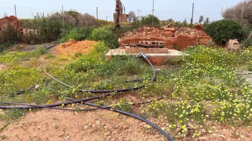 Vente Terrain Agricole Oran Bousfer