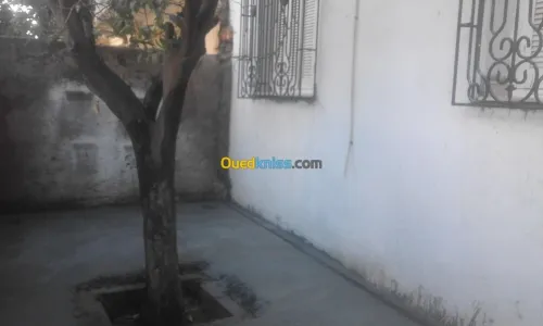 Location Appartement Aïn Témouchent Sidi ben adda