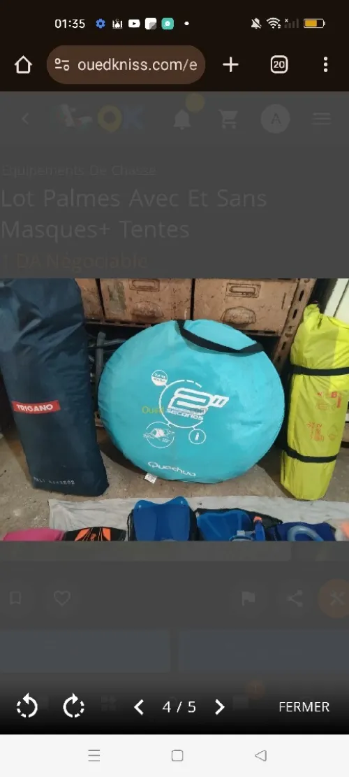 Lot palmes, masques et tentes 