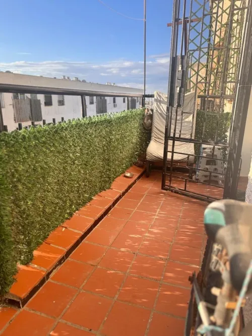 Vente Appartement F3 Alger Chevalley
