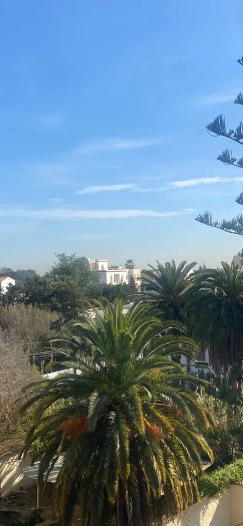 Vente Villa Alger El biar