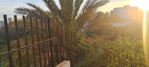 Vente Appartement F4 Alger Chevalley