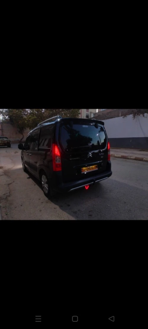 Citroen Berlingo 2010 Berlingo