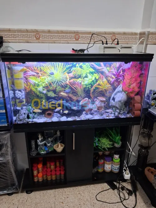Aquarium avec meuble noir 80cm et 1m