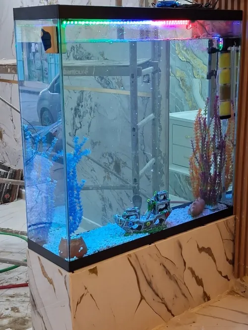 Conception d'aquariums, équipements, accessoires, poissons et entretien