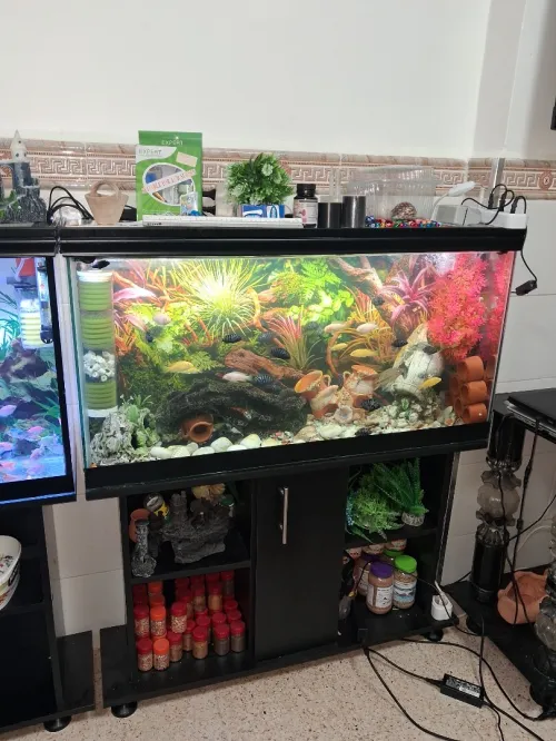 Aquarium avec meuble noir 80x55x25cm