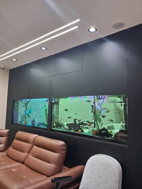 Conception d'aquariums, équipements, accessoires, poissons et entretien
