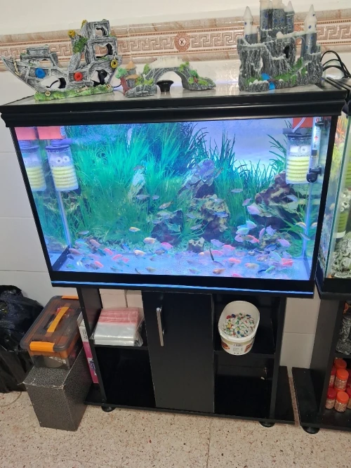 Aquarium 1m avec meuble