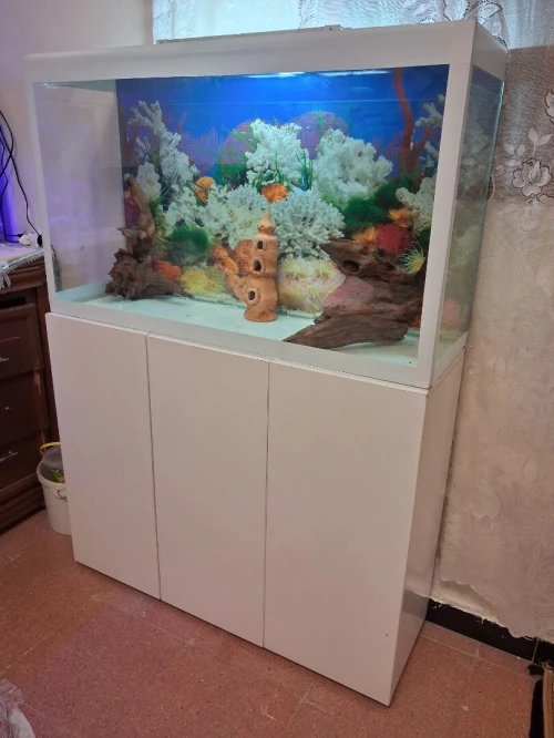 Aquarium avec meuble 1 mètre haute finition