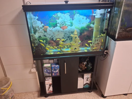 Aquarium 1m avec meuble