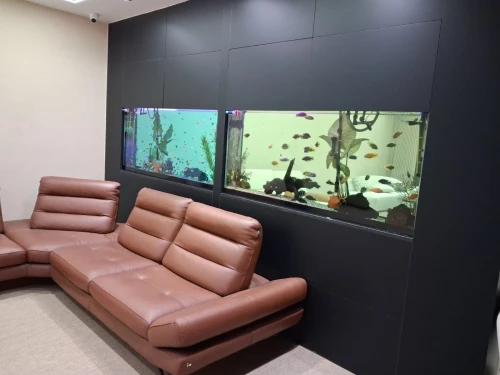 Conception d'aquariums, équipements, accessoires, poissons et entretien