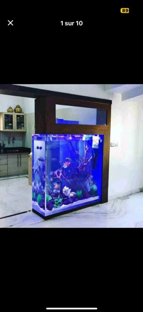 Conception d'aquariums, équipements, accessoires, poissons et entretien