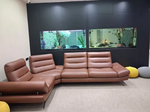 Conception d'aquariums, équipements, accessoires, poissons et entretien