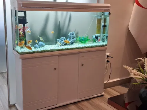Aquarium d'importation 1m avec meuble d'origine