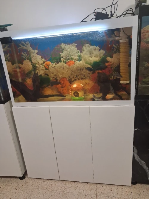 Aquarium avec meuble 1 mètre haute finition