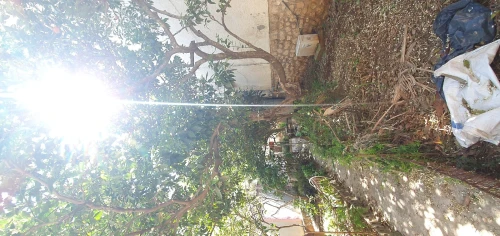 Vente Villa Alger El biar