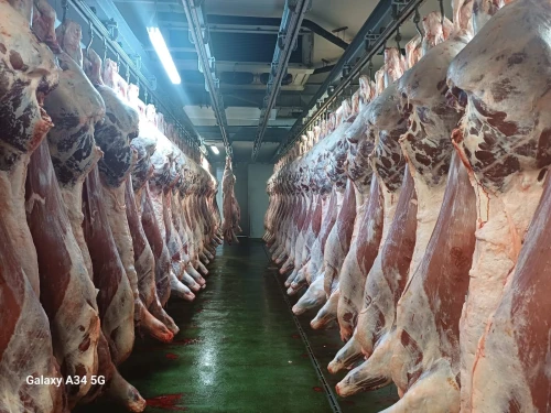 Viande d'Espagne 