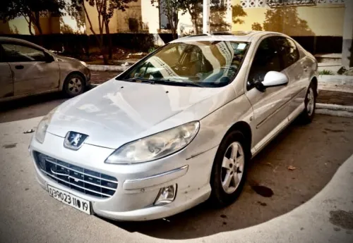 Peugeot 407 2010 407