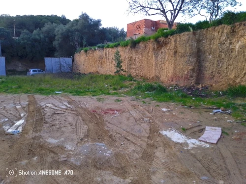 Vente Terrain Tipaza Kolea