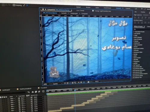 Réalisation montage vidéo photographie 