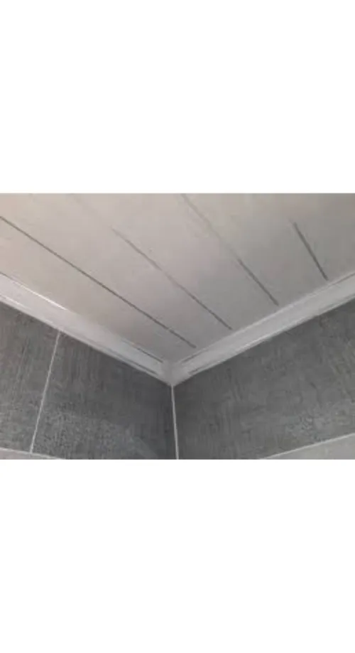 PLACOPLATRE - FAUX PLAFOND-PARQUET. PVC