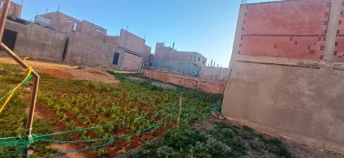 Vente Appartement Niveau de villa F3 Chlef Harchoun