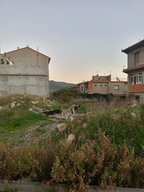 Vente Terrain Guelma Guellat bou dbaa