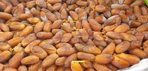 تصدير التمور الجزائرية 