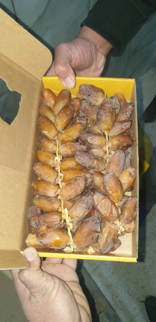 تصدير التمور الجزائرية 