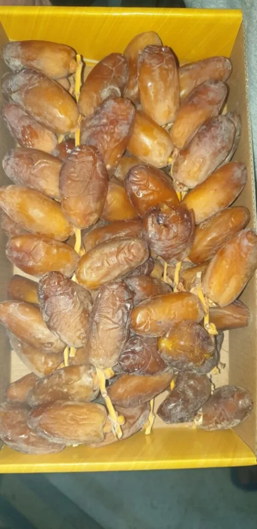 تصدير التمور الجزائرية 