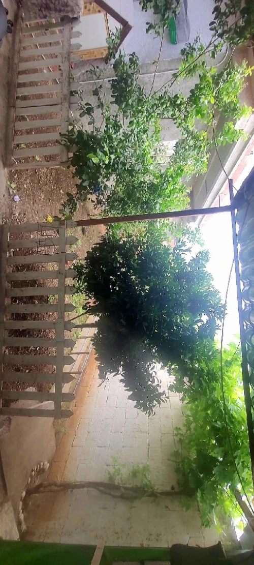 Vente Villa Boumerdès Corso