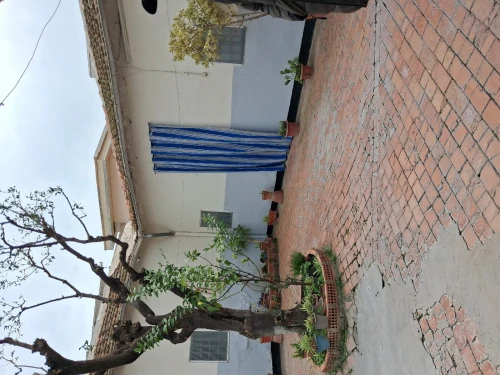 Vente Villa Blida Beni mered